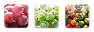 葡萄籽萃取 | 余甘子 | 75種蔬果乳酸菌發酵物