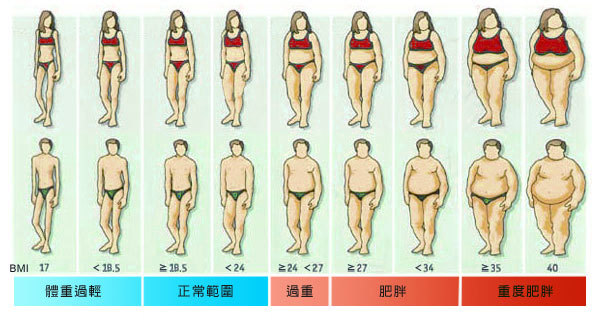 轻度肥胖 27 ≤ bmi   30 中度肥胖 30 ≤ bmi   35 重度肥胖 bmi