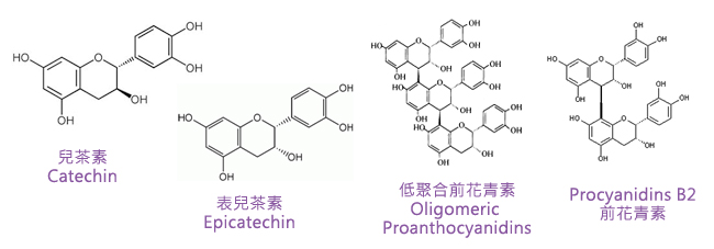 图二:前花青素结构与组成